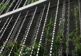 雨链：建筑与植物的完美结合