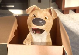 获得全球50个奖项的三腿萌犬，暖心动画短片《The Present（礼物）》