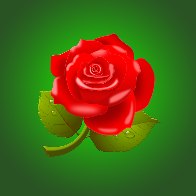 玫瑰花的PSD素材