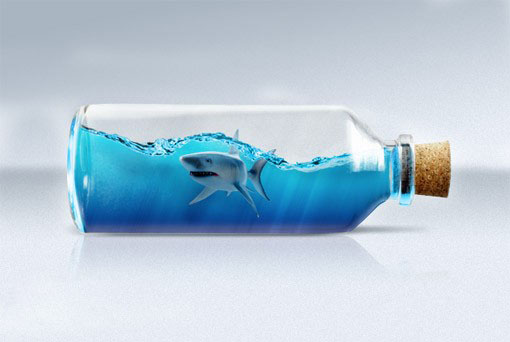Photoshop合成在瓶子里游泳的鲨鱼