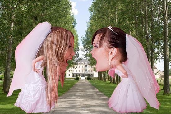 “PS制作两个大头新娘吵架的图像素材图2”