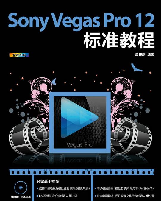 Sony Vegas Pro 12标准教程的介绍 99设计资源库