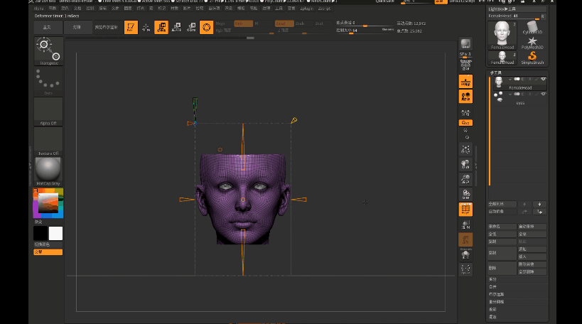zbrush 4r8 book