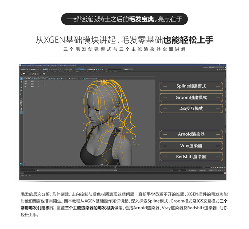 Maya超写实角色XGEN毛发制作案例教程亮点之基础模块