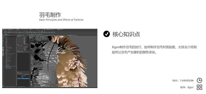 高精度写实角色全流程制作案例中文教程核心知识点之羽毛制作