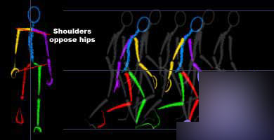 Maya制作走路动作循环动画具体步骤之设置前膝与头部、肩的姿势
