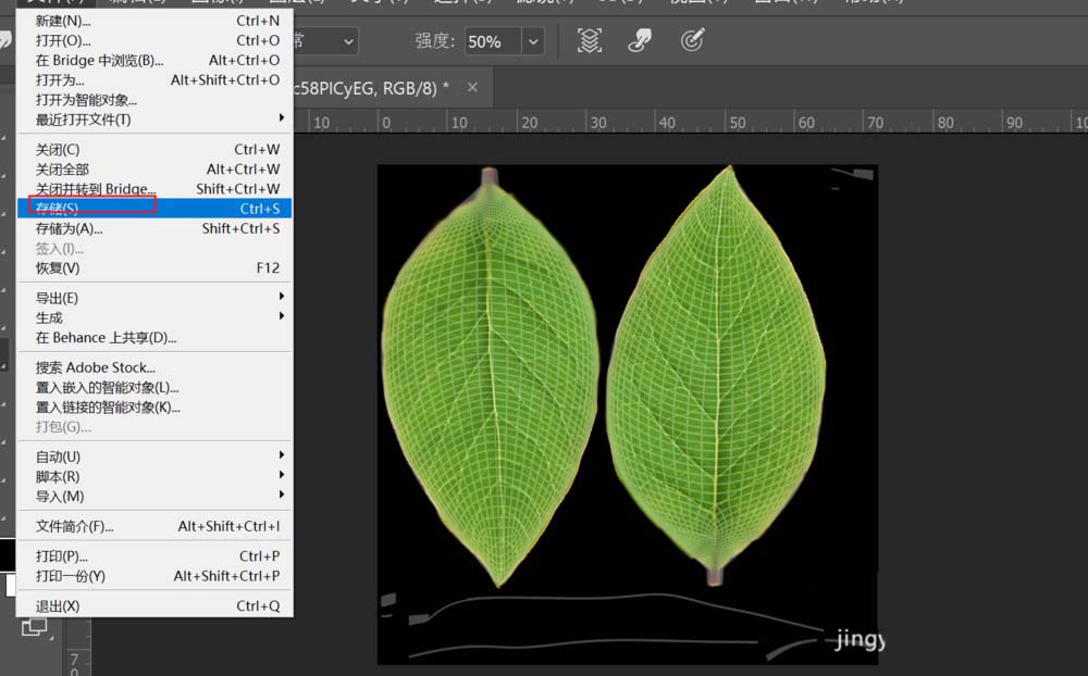 C4D给树叶添加纹理贴图的具体步骤之等到叶子纹理